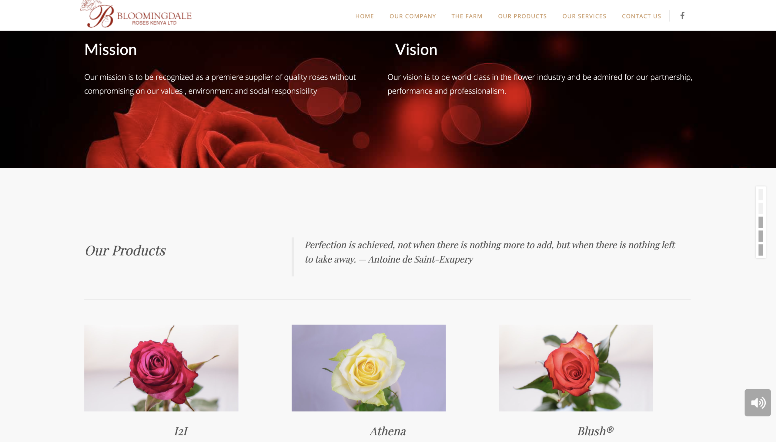 bloomingdale_roses
